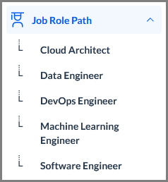 job_role_paths_in_library_nav.png
