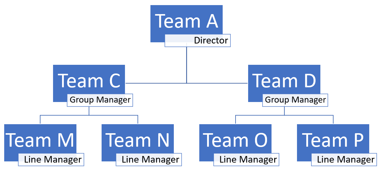 team_structure.png