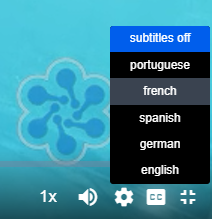subtitle_language_list.png